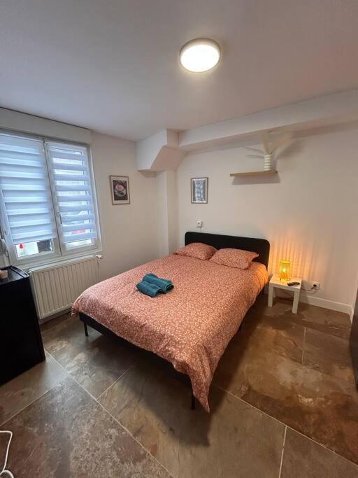 La Ptite Albi Home ナンシー エクステリア 写真