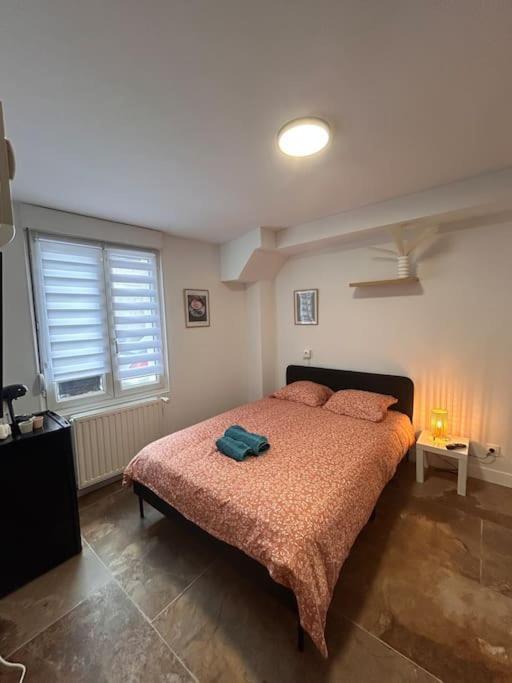La Ptite Albi Home ナンシー エクステリア 写真